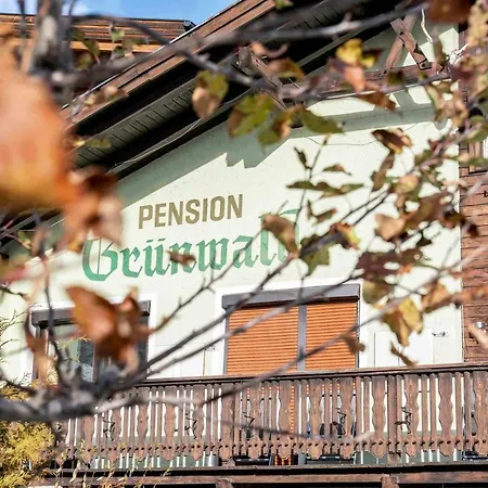Guest house Gruenwald *